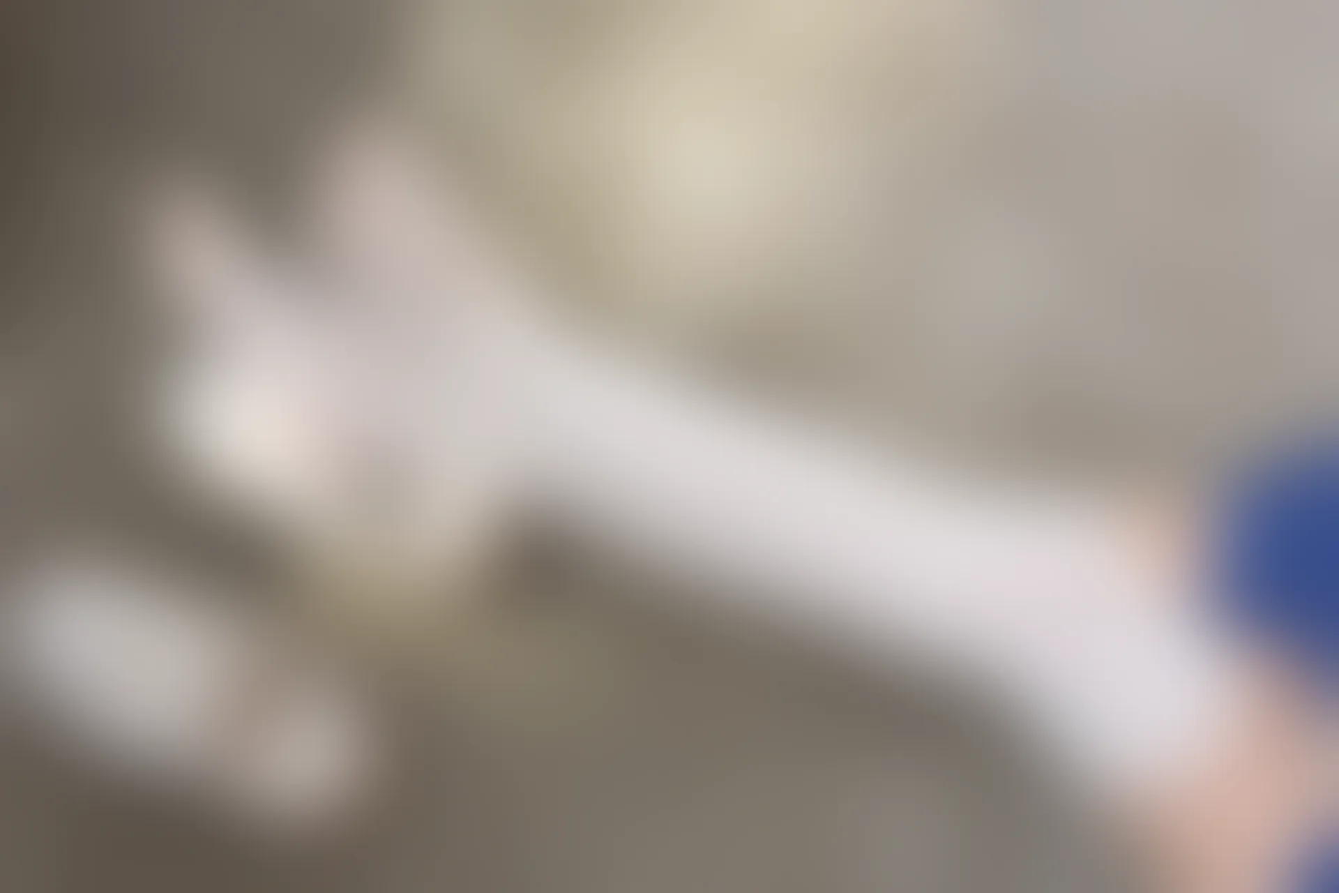森萝财团 BETA-018 [57P-606M]白丝, 美腿