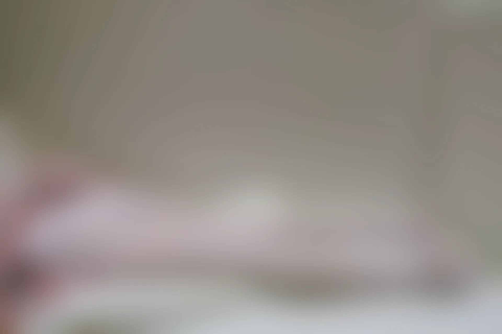 森萝财团 内部VIP系列 微风-03 白丝粉色JK制服 [109P1V-3.1G]