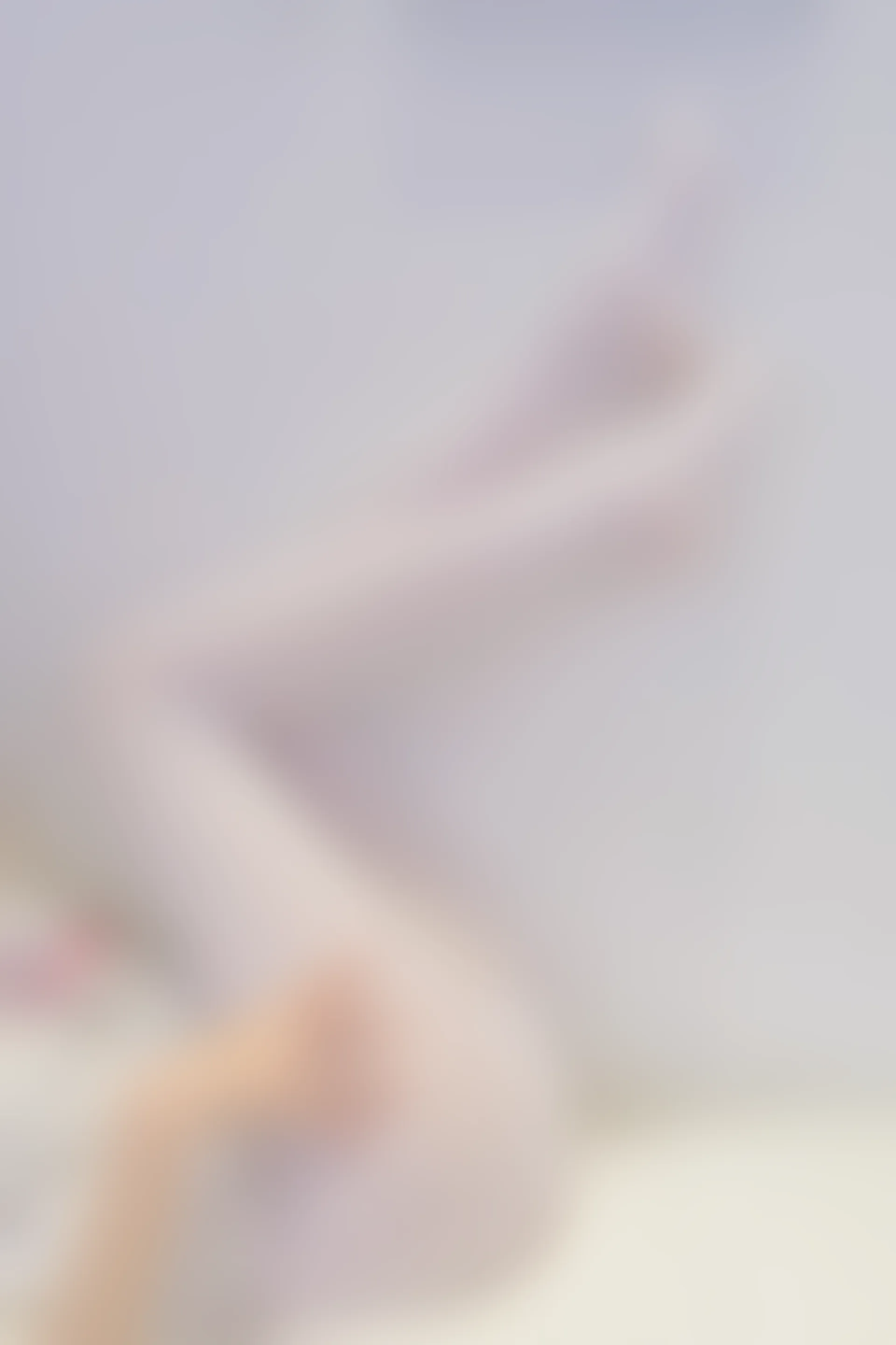 森萝财团 内部VIP系列 微风-03 白丝粉色JK制服 [109P1V-3.1G]