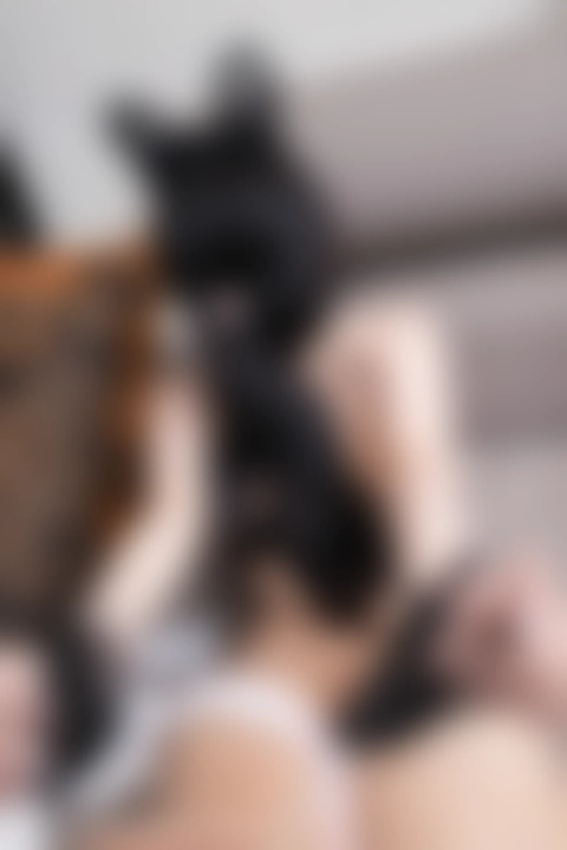 XIUREN秀人网 2024.02.23 NO.8138 幼幼[80+1P／666MB]