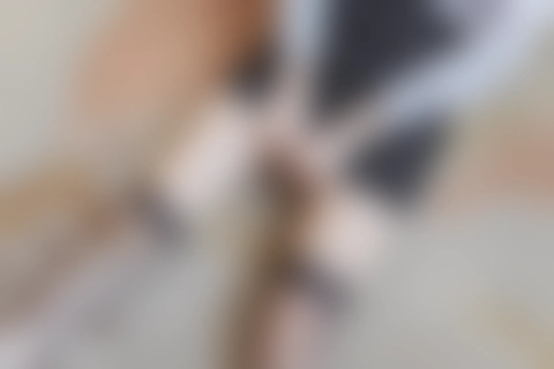 C31.006 网袜ol [40P-86MB]