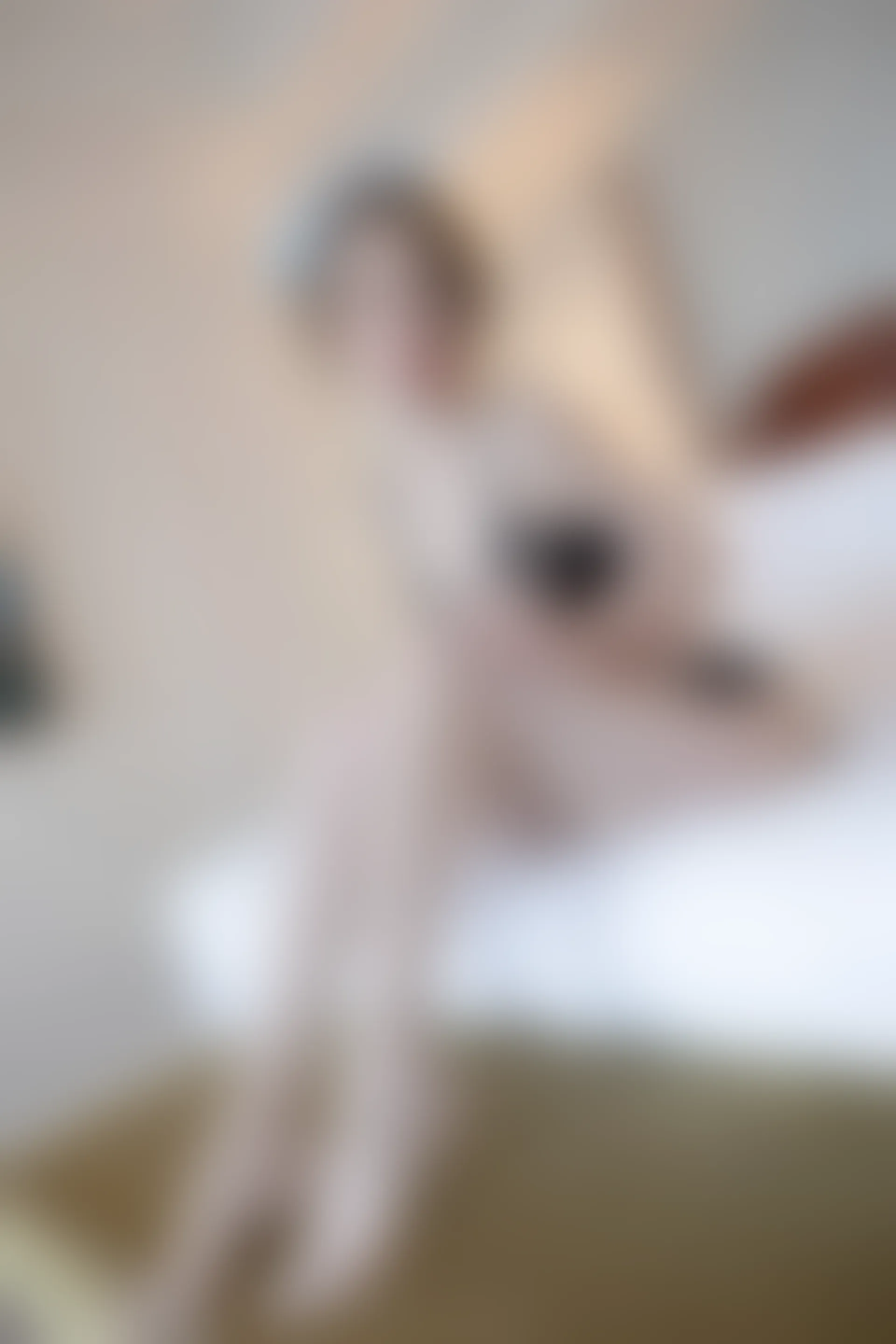 XiuRen秀人网 2021.12.27 No.4389 梦心玥 制服美腿[90+1P 774MB]