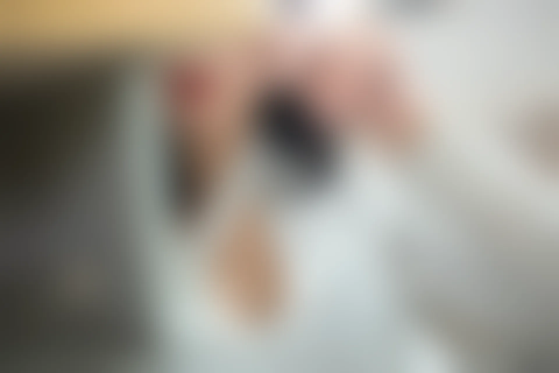 XiuRen秀人网 2019.09.20 No.1690 就是阿朱啊 [108+1P]