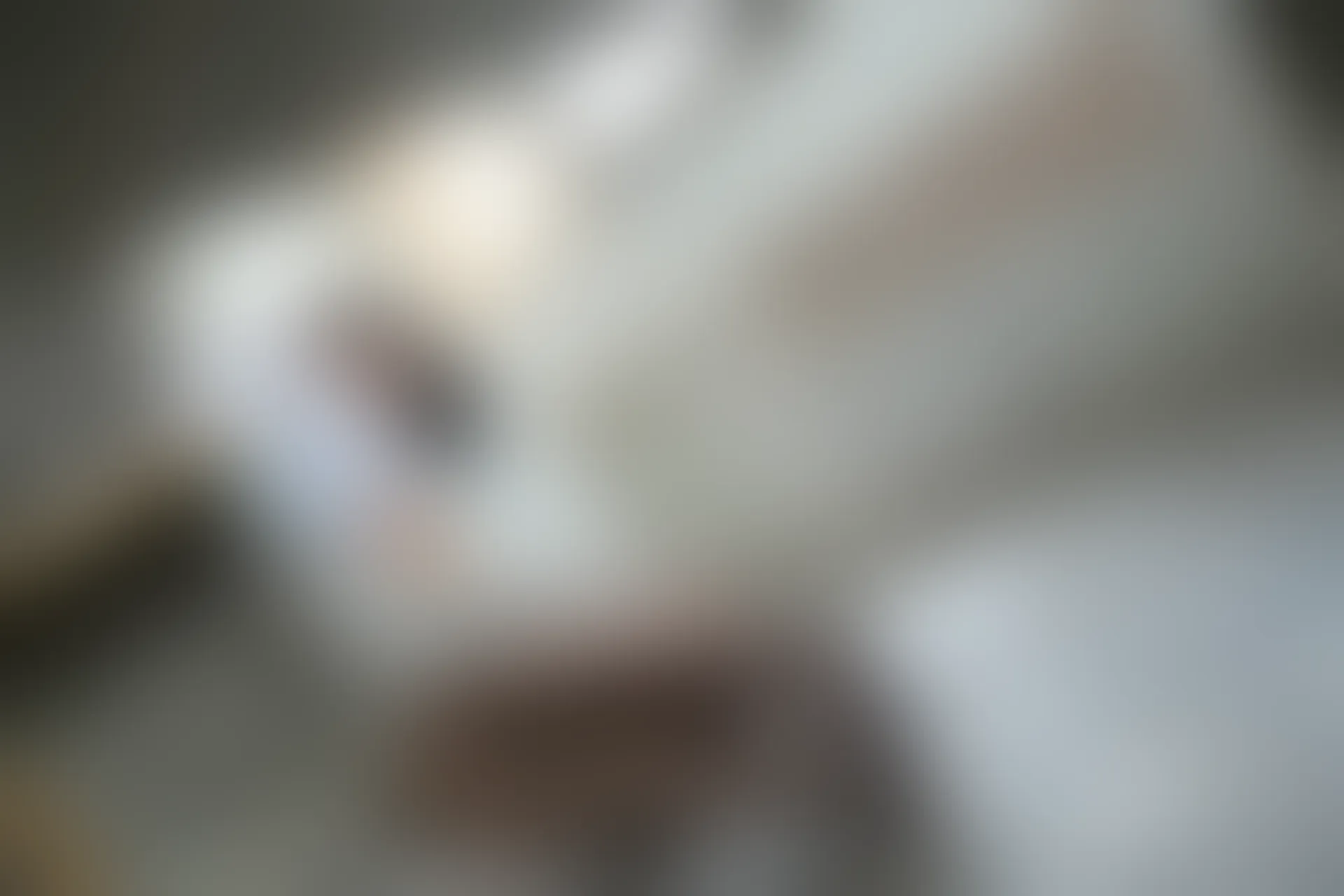 XiuRen秀人网 2019.09.20 No.1690 就是阿朱啊 [108+1P]
