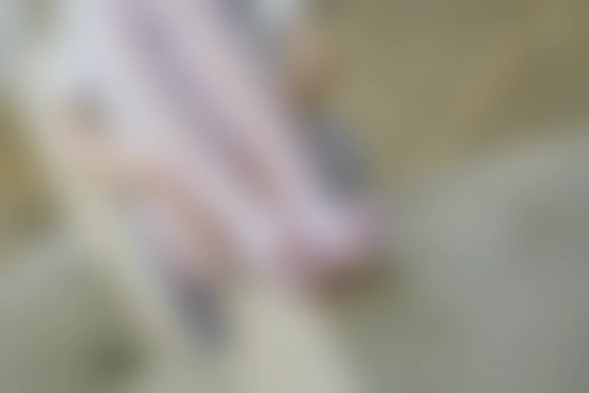 森萝财团 有料-38 户外铁路 白丝JK [60P-763.9MB]JK, JK制服, 制服, 有料, 森萝财团, 白丝, 美腿, 美足