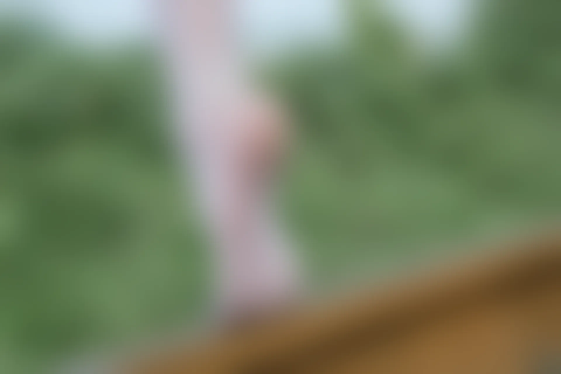 森萝财团 有料-38 户外铁路 白丝JK [60P-763.9MB]JK, JK制服, 制服, 有料, 森萝财团, 白丝, 美腿, 美足