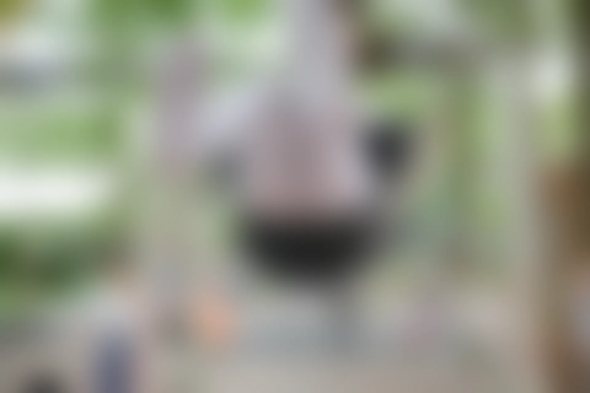 森萝财团 R15-014 [99P-674M]学生装, 森萝财团, 白丝, 美腿, 美足