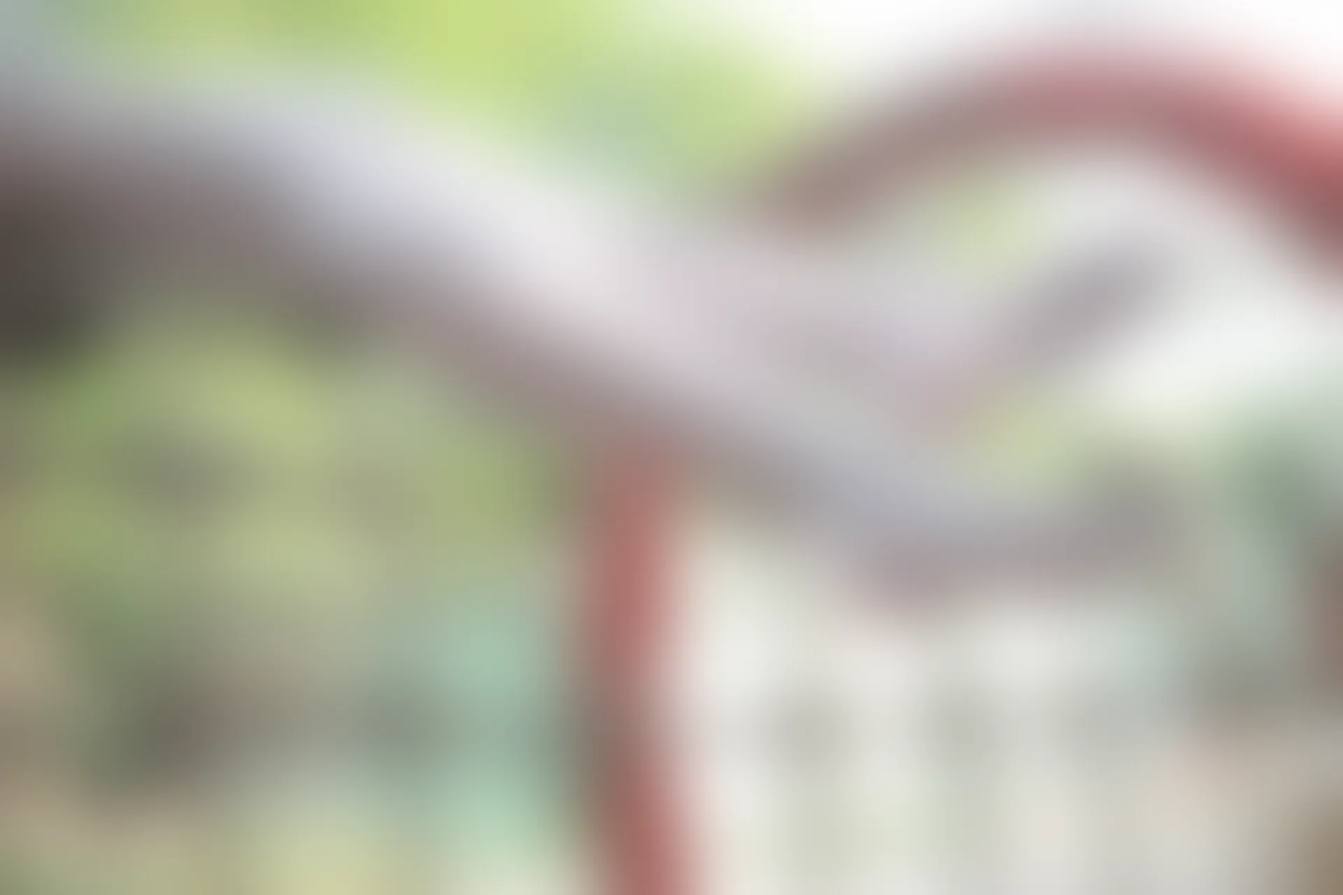 森萝财团 R15-014 [99P-674M]学生装, 森萝财团, 白丝, 美腿, 美足