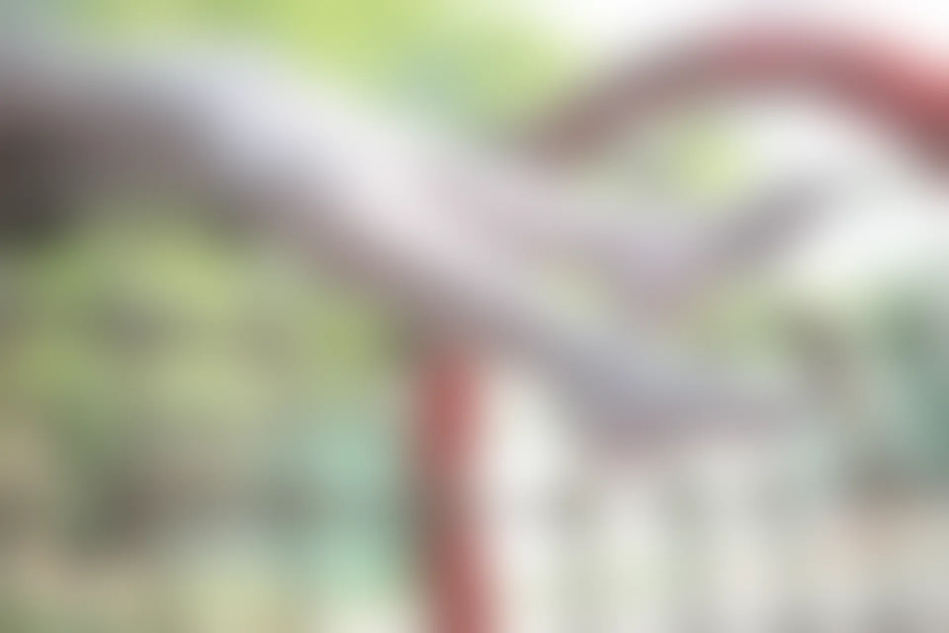 森萝财团 R15-014 [99P-674M]学生装, 森萝财团, 白丝, 美腿, 美足