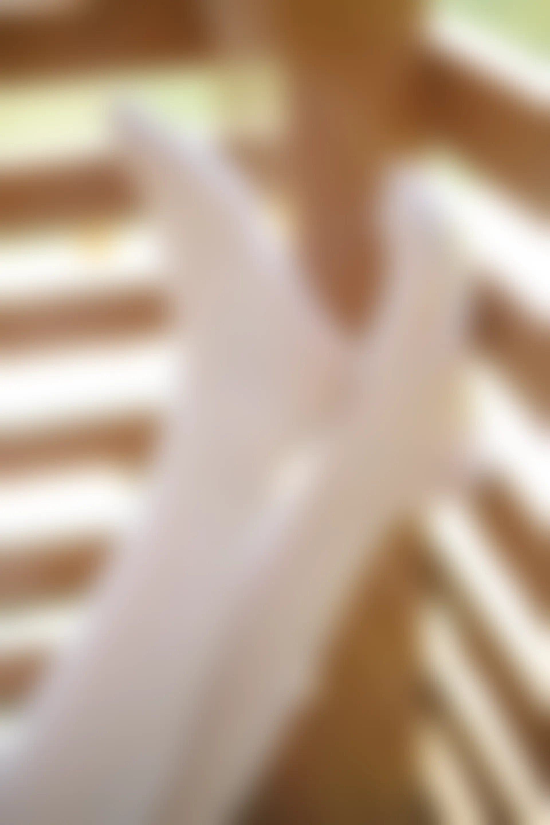 森萝财团 R15-014 [99P-674M]学生装, 森萝财团, 白丝, 美腿, 美足