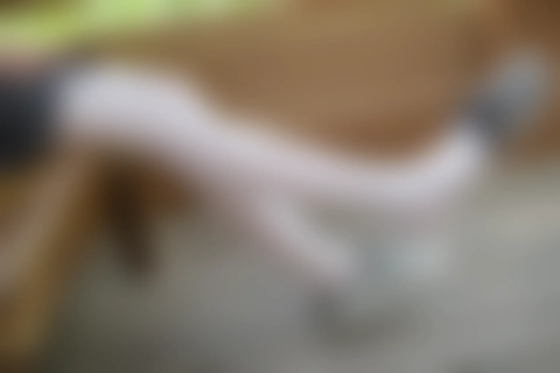 森萝财团 R15-014 [99P-674M]学生装, 森萝财团, 白丝, 美腿, 美足