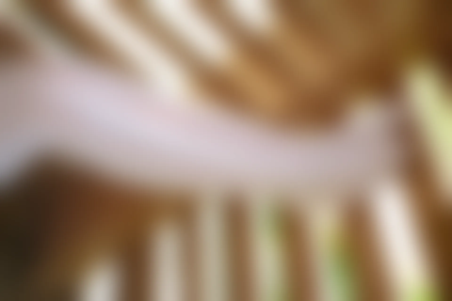 森萝财团 R15-014 [99P-674M]学生装, 森萝财团, 白丝, 美腿, 美足