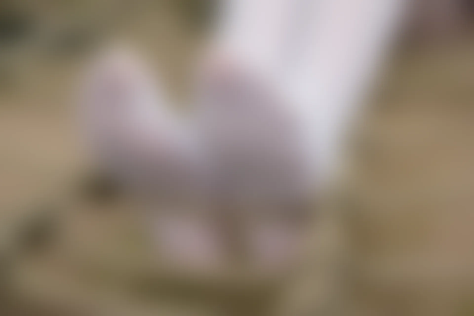 森萝财团 R15-014 [99P-674M]学生装, 森萝财团, 白丝, 美腿, 美足