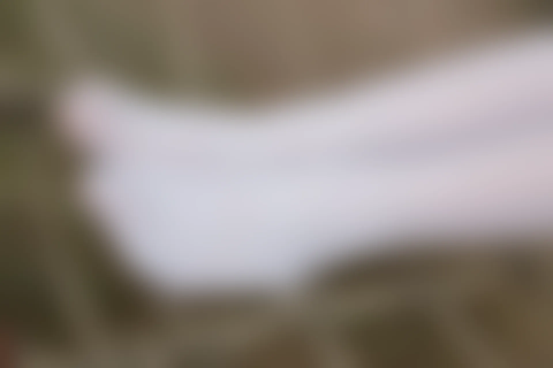 森萝财团 R15-014 [99P-674M]学生装, 森萝财团, 白丝, 美腿, 美足