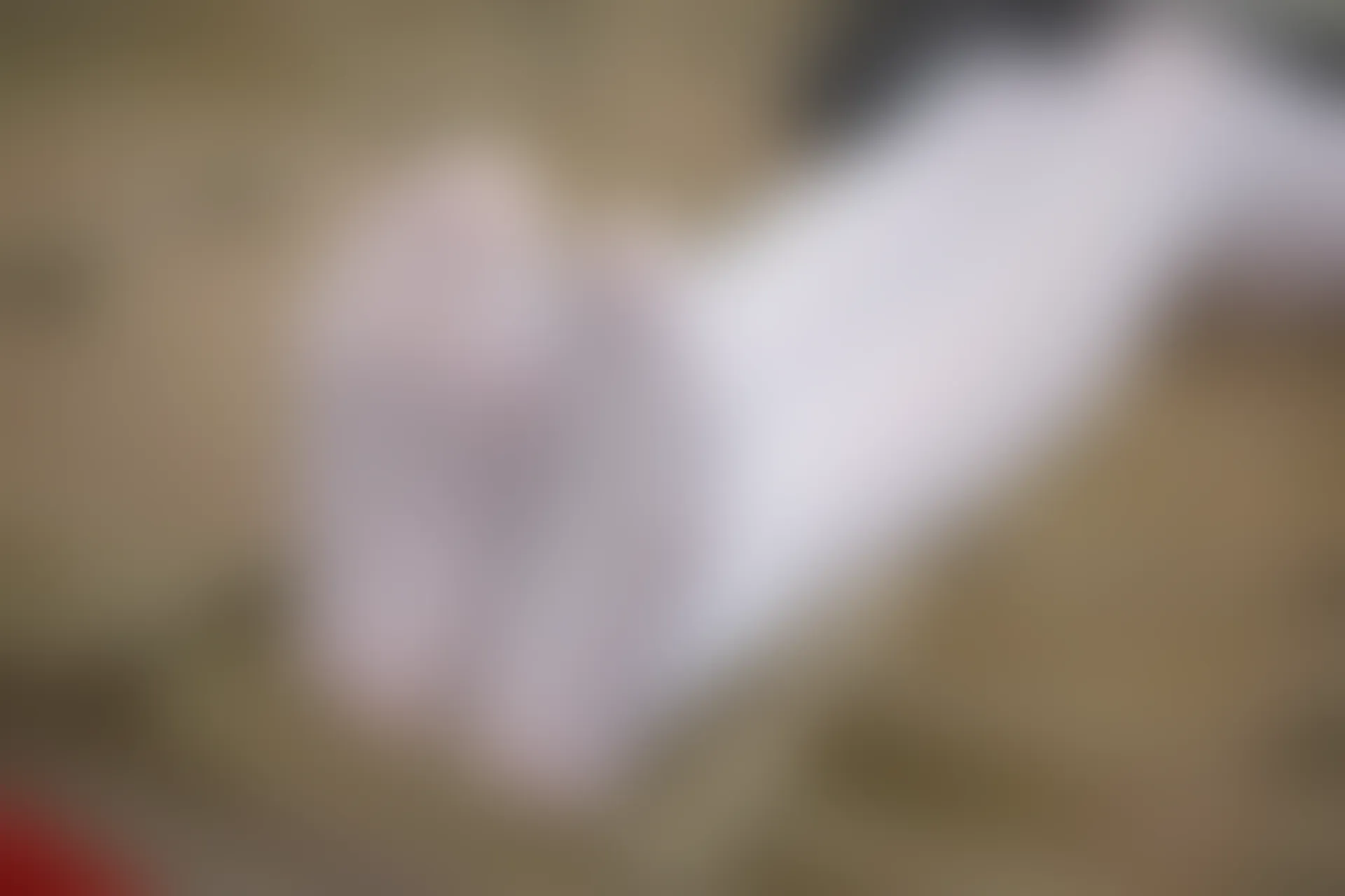 森萝财团 R15-014 [99P-674M]学生装, 森萝财团, 白丝, 美腿, 美足