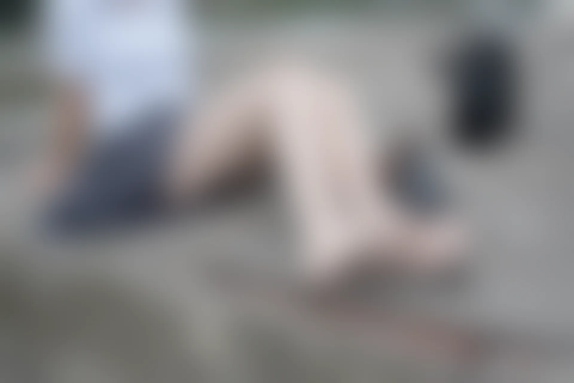 森萝财团 BETA-005 [75P-496M]美腿, 肉丝
