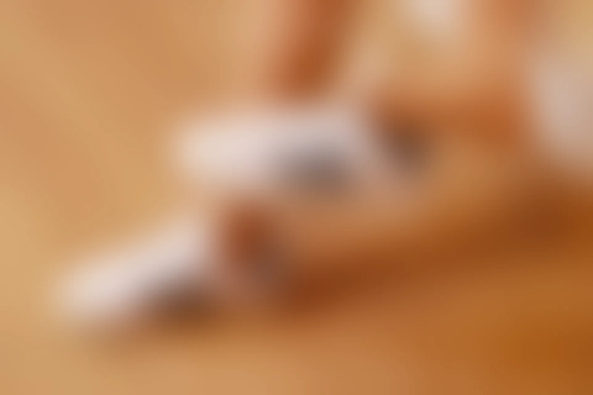 初夏女神 NO.062 依依 俏皮女生体操服展示[116P+1V／5.11GB]