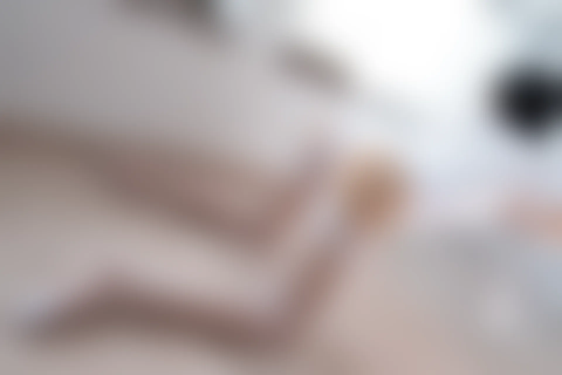 爱花写真 ALPHA-008 [86P-690M]可爱, 森萝财团, 爱花写真, 白丝, 美腿