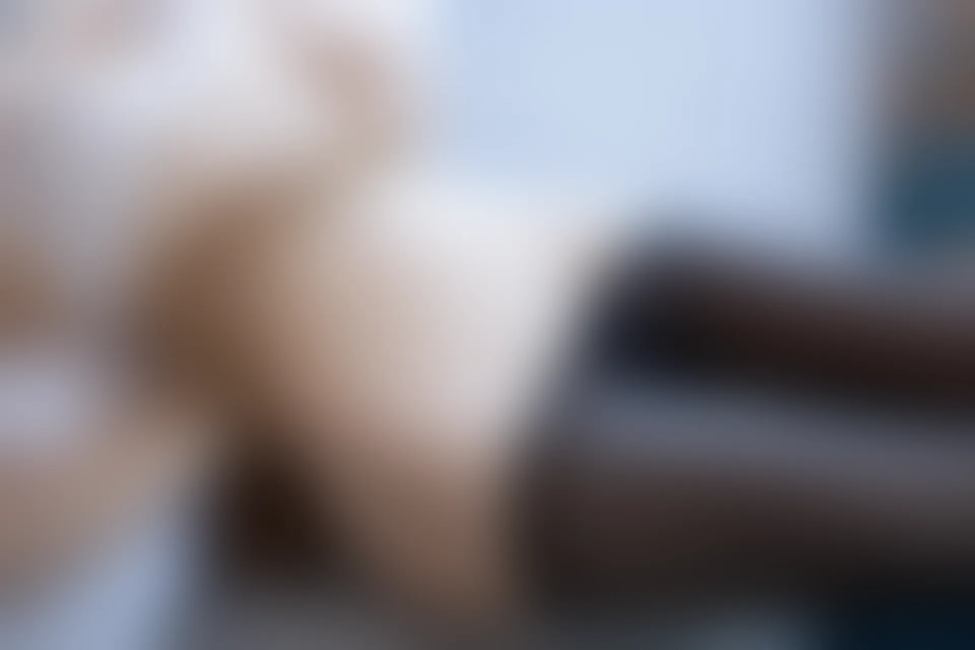 XIUREN秀人网 2024.02.08 NO.8096 徐莉芝Booty[84+1P／636MB]