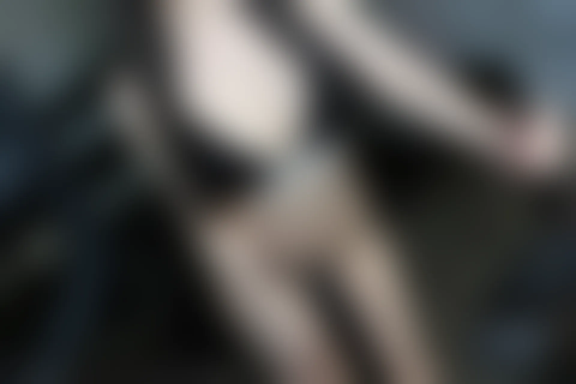 XIUREN秀人网 2023.11.23 NO.7705 田兮白[89+1P／727MB]