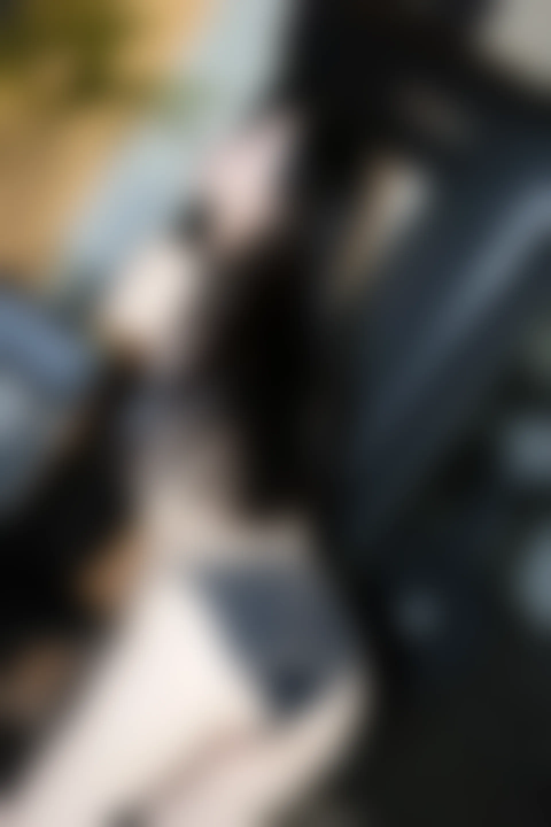 XIUREN秀人网 2023.11.23 NO.7705 田兮白[89+1P／727MB]