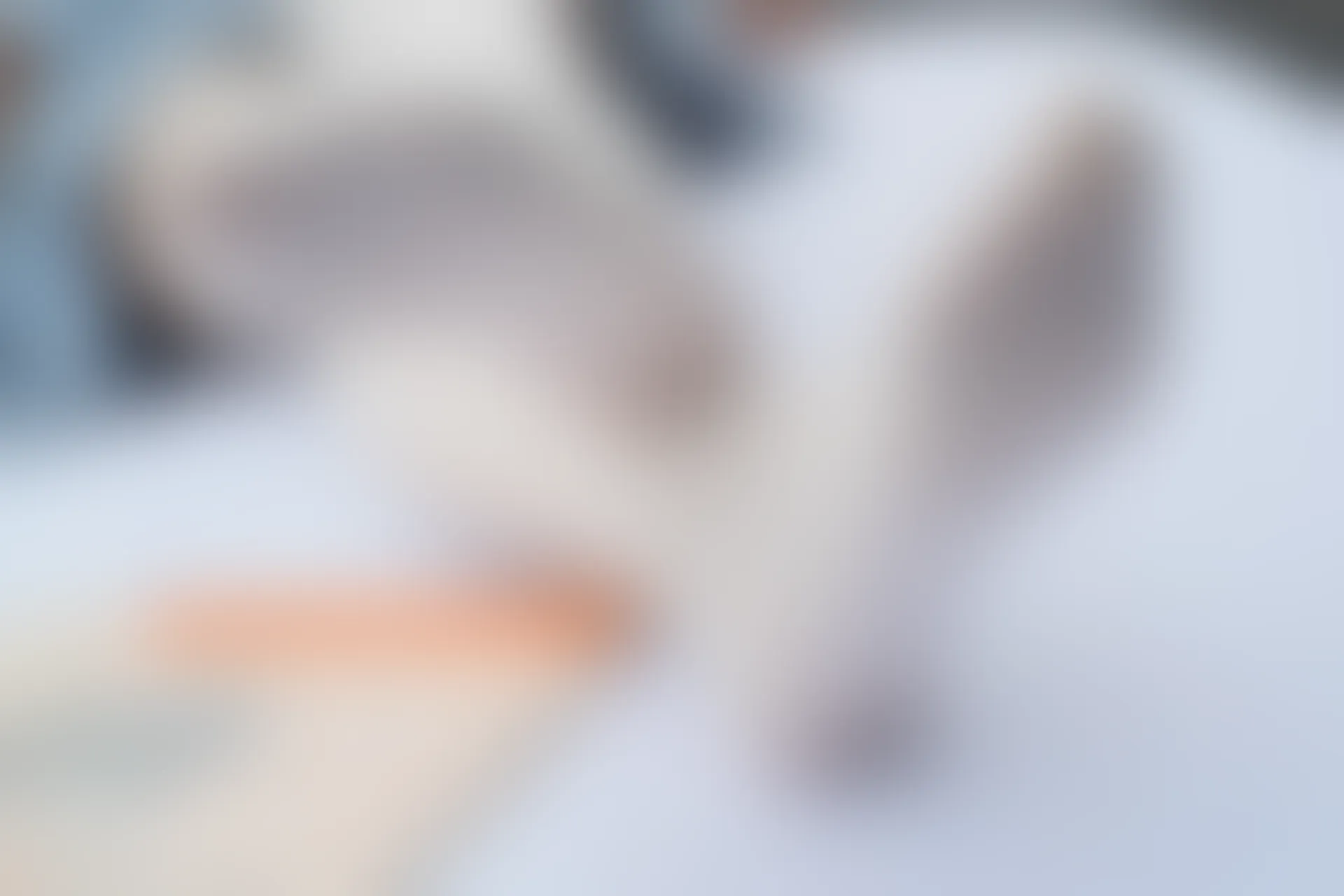 森萝财团 R15-036 [84P-465M]可爱, 学生装, 森萝财团, 白丝, 美腿, 美足