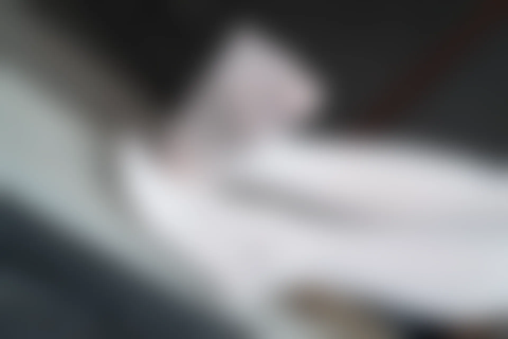 森萝财团 R15-036 [84P-465M]可爱, 学生装, 森萝财团, 白丝, 美腿, 美足