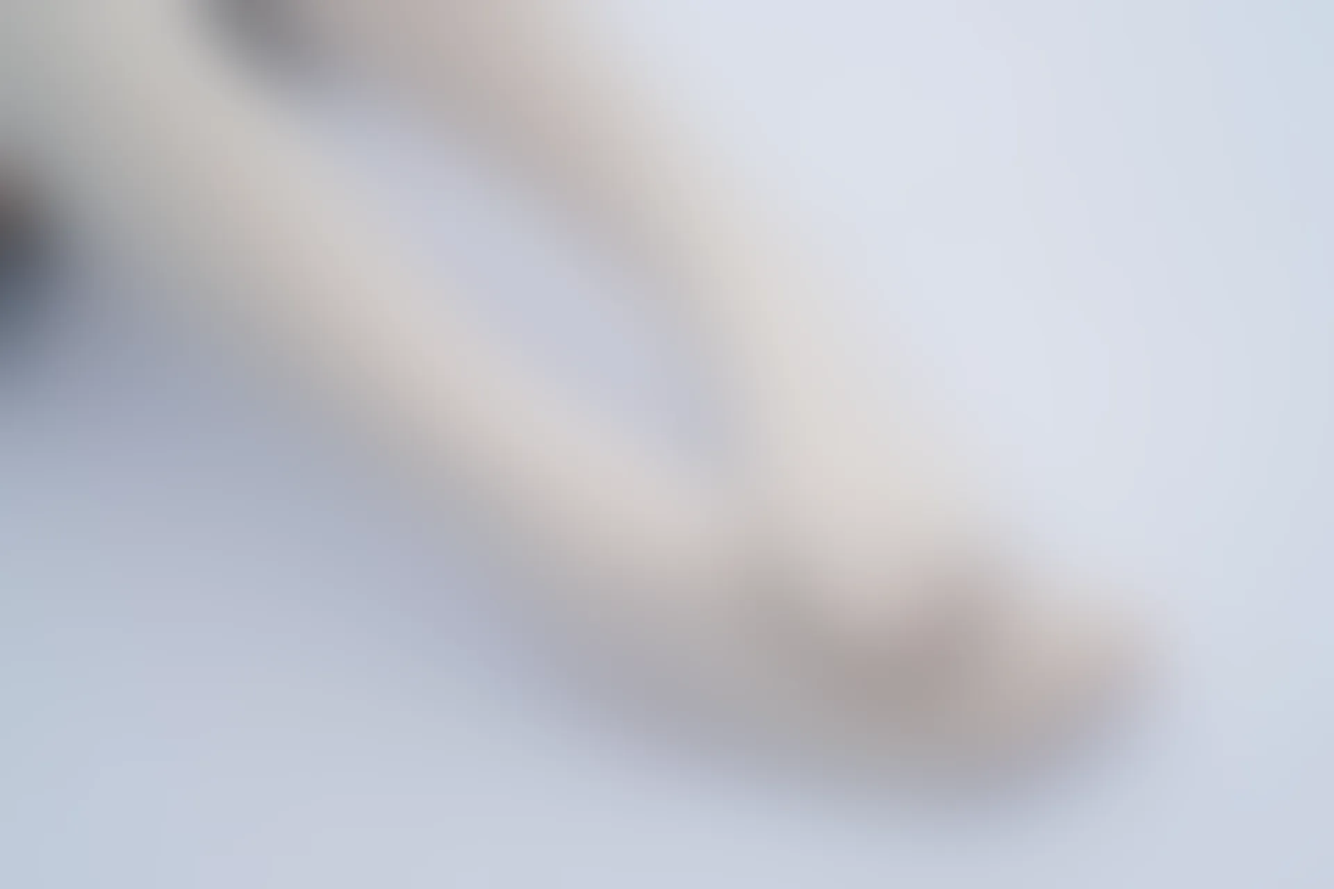 森萝财团 R15-036 [84P-465M]可爱, 学生装, 森萝财团, 白丝, 美腿, 美足
