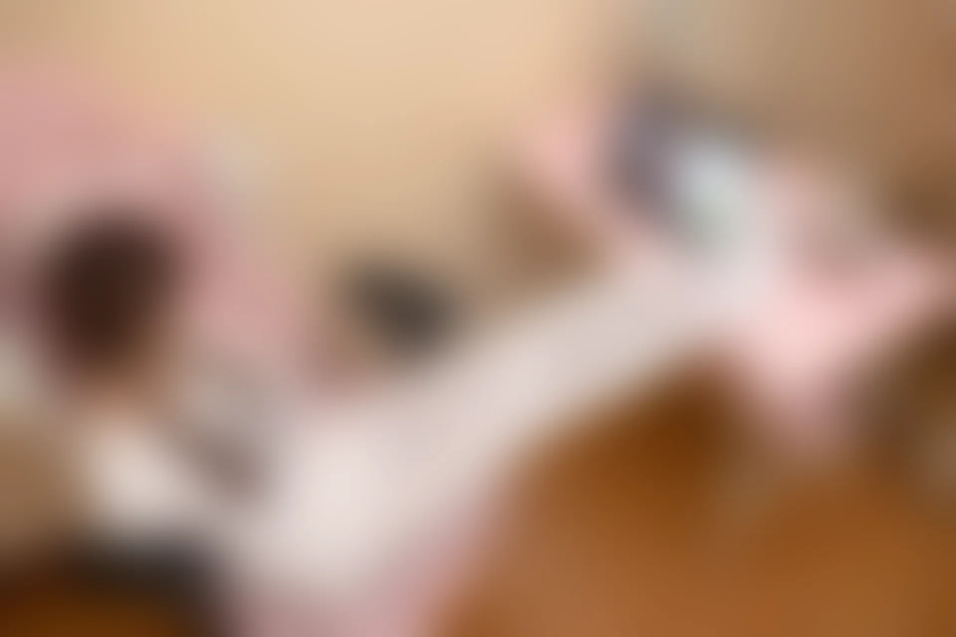 少女秩序 EX.09 诚信肥宅白丝双马尾[69P1V-1.85G]双马尾, 少女秩序, 白丝, 美腿, 美足, 鹿可