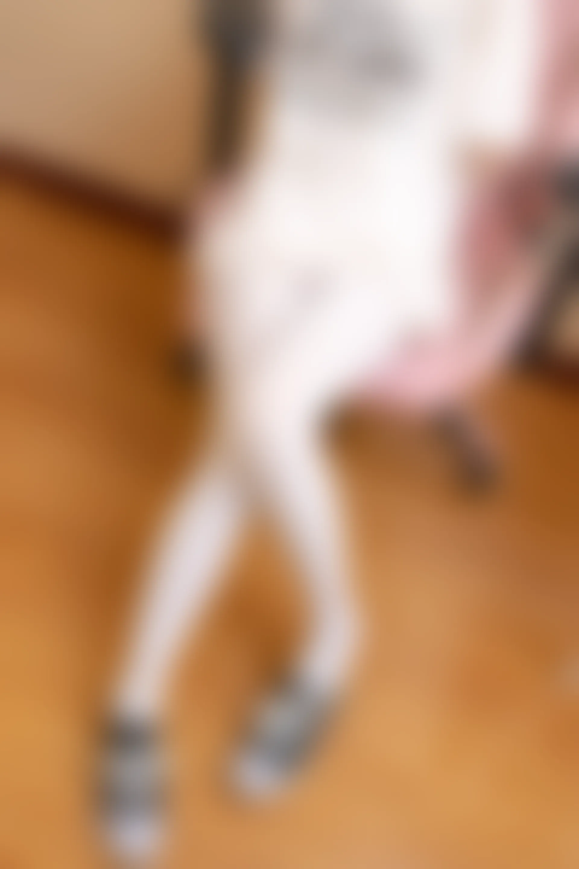 少女秩序 EX.09 诚信肥宅白丝双马尾[69P1V-1.85G]双马尾, 少女秩序, 白丝, 美腿, 美足, 鹿可