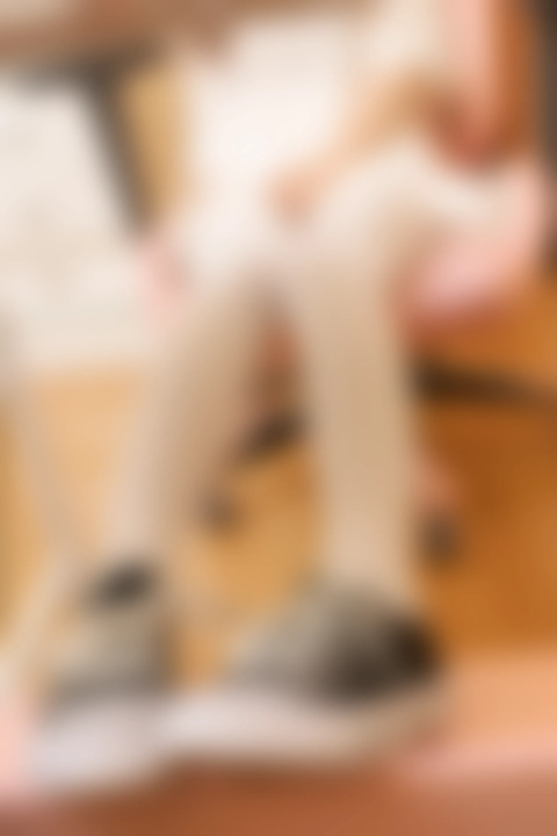 少女秩序 EX.09 诚信肥宅白丝双马尾[69P1V-1.85G]双马尾, 少女秩序, 白丝, 美腿, 美足, 鹿可