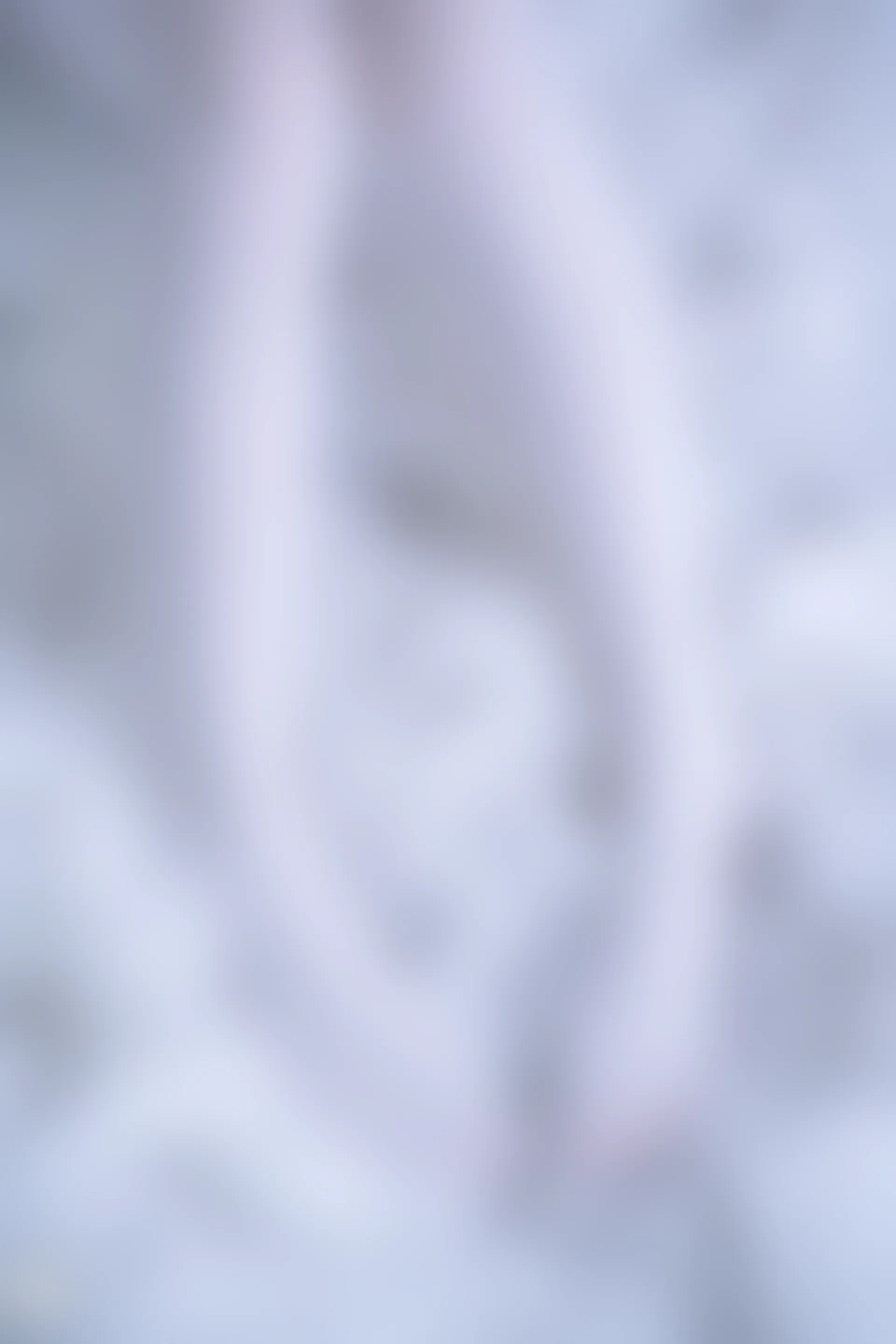 C00.004 红裙与白丝 [44P-996MB]