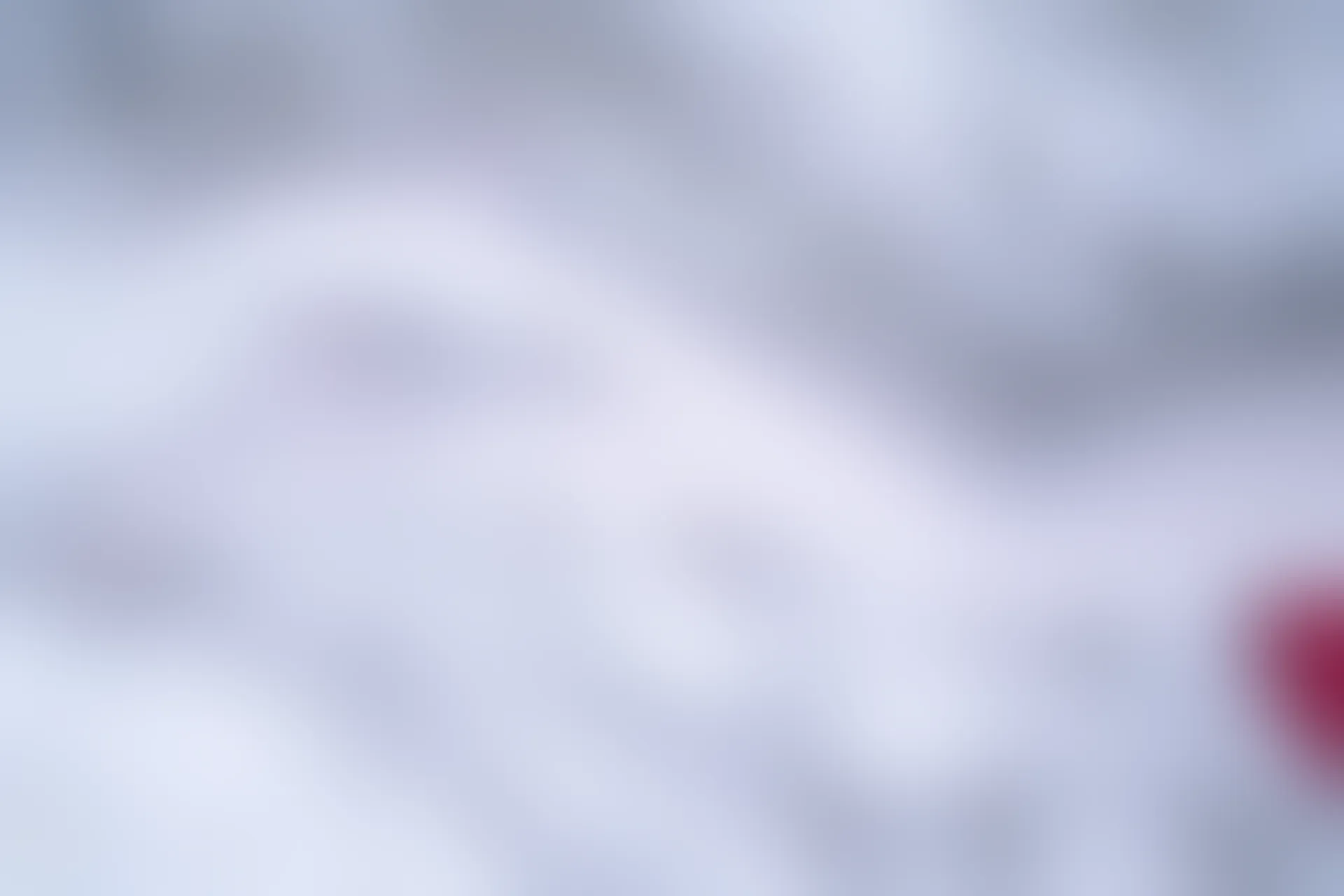 C00.004 红裙与白丝 [44P-996MB]