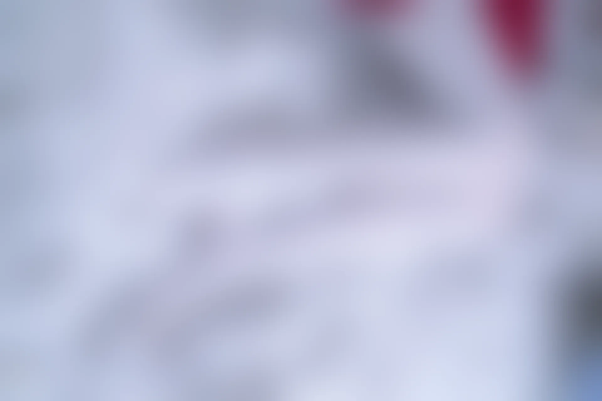C00.004 红裙与白丝 [44P-996MB]