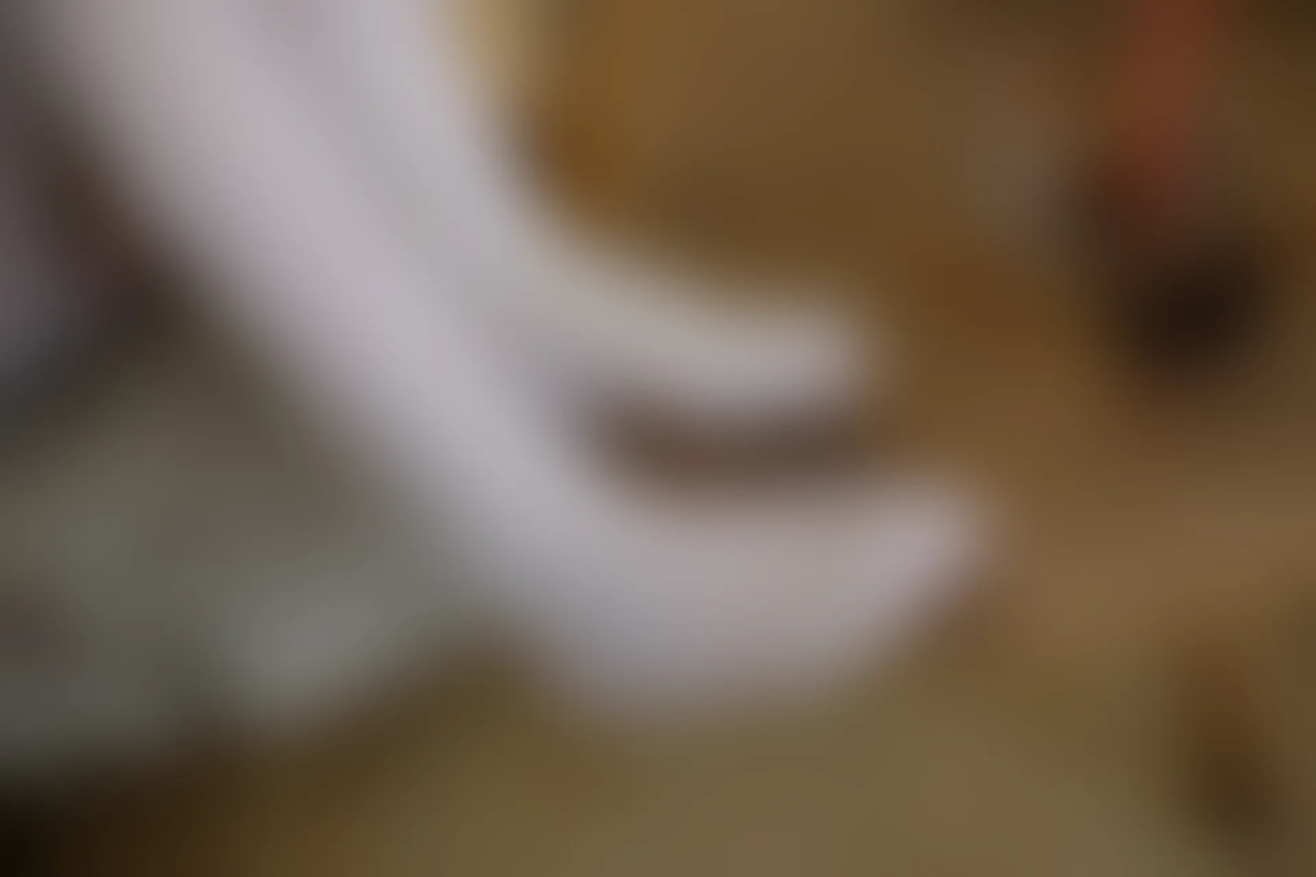 森萝财团 R15-021 [71P-392M]学生装, 森萝财团, 白丝, 美腿