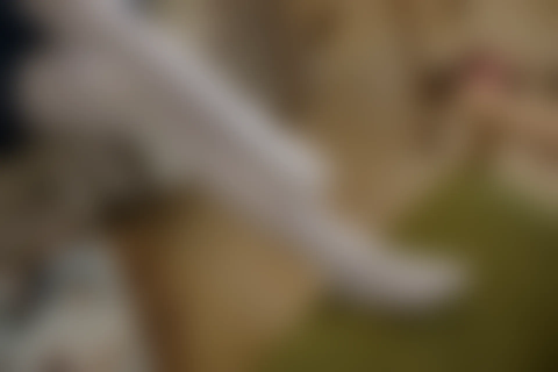 森萝财团 R15-021 [71P-392M]学生装, 森萝财团, 白丝, 美腿