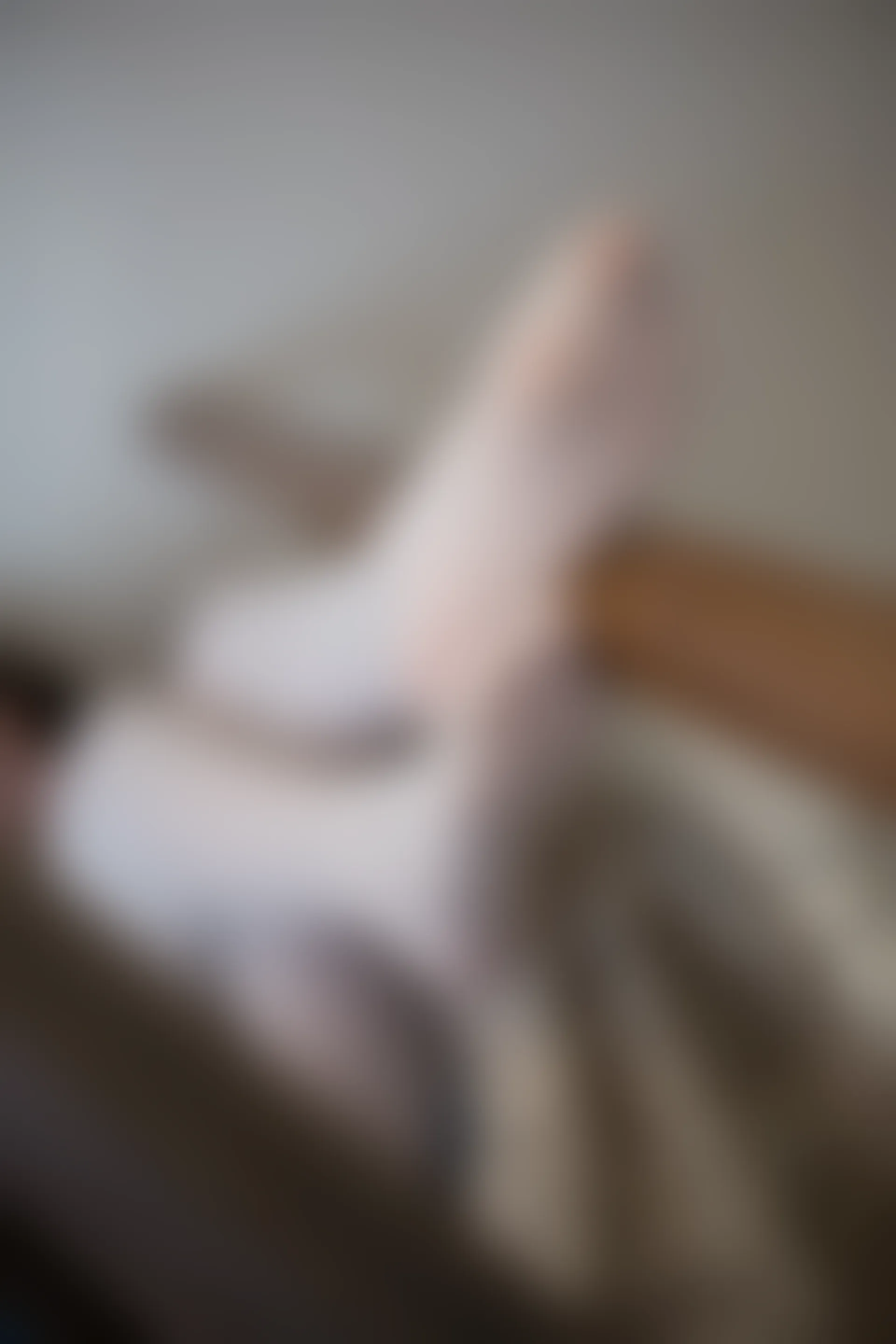森萝财团 R15-021 [71P-392M]学生装, 森萝财团, 白丝, 美腿