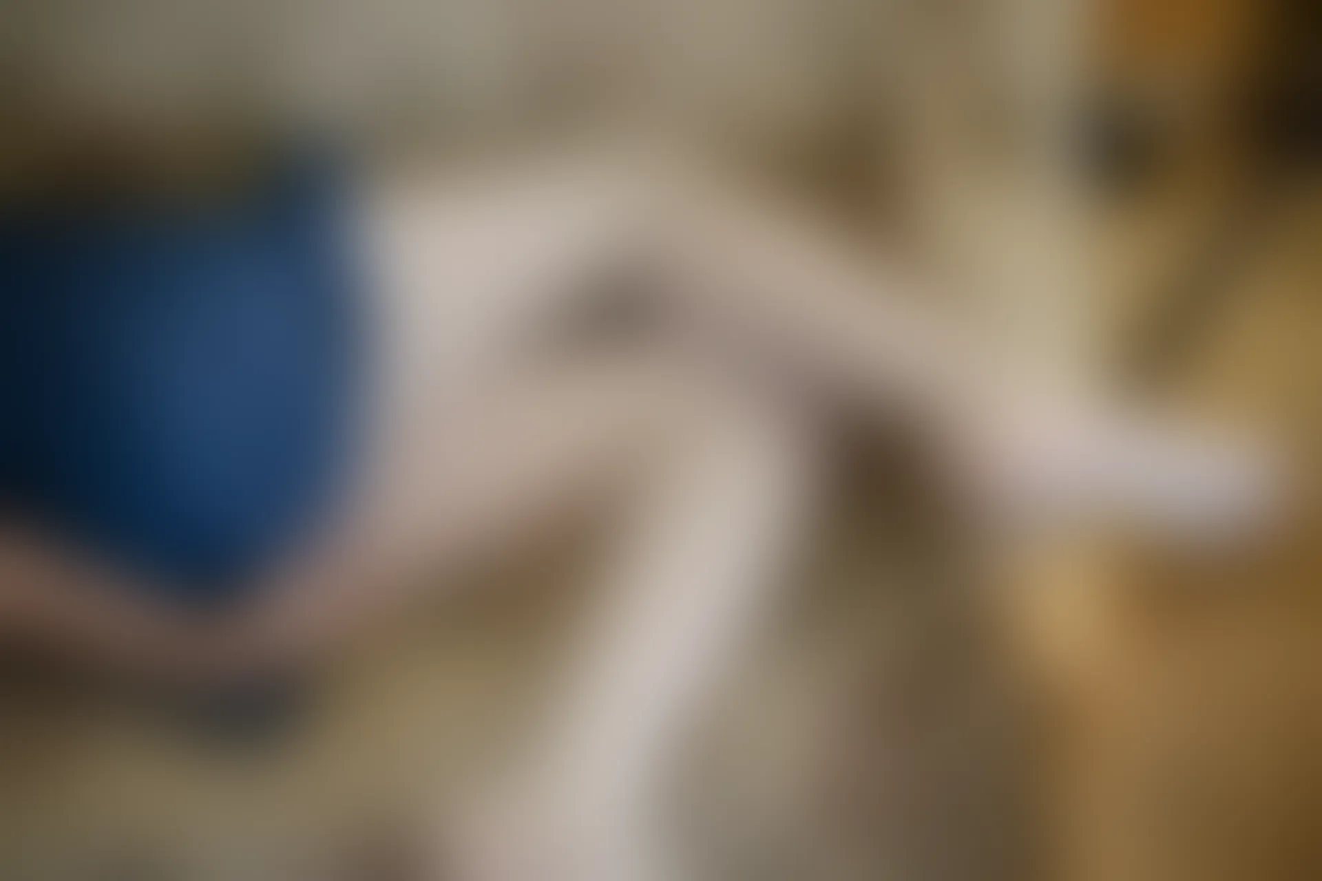 森萝财团 R15-021 [71P-392M]学生装, 森萝财团, 白丝, 美腿