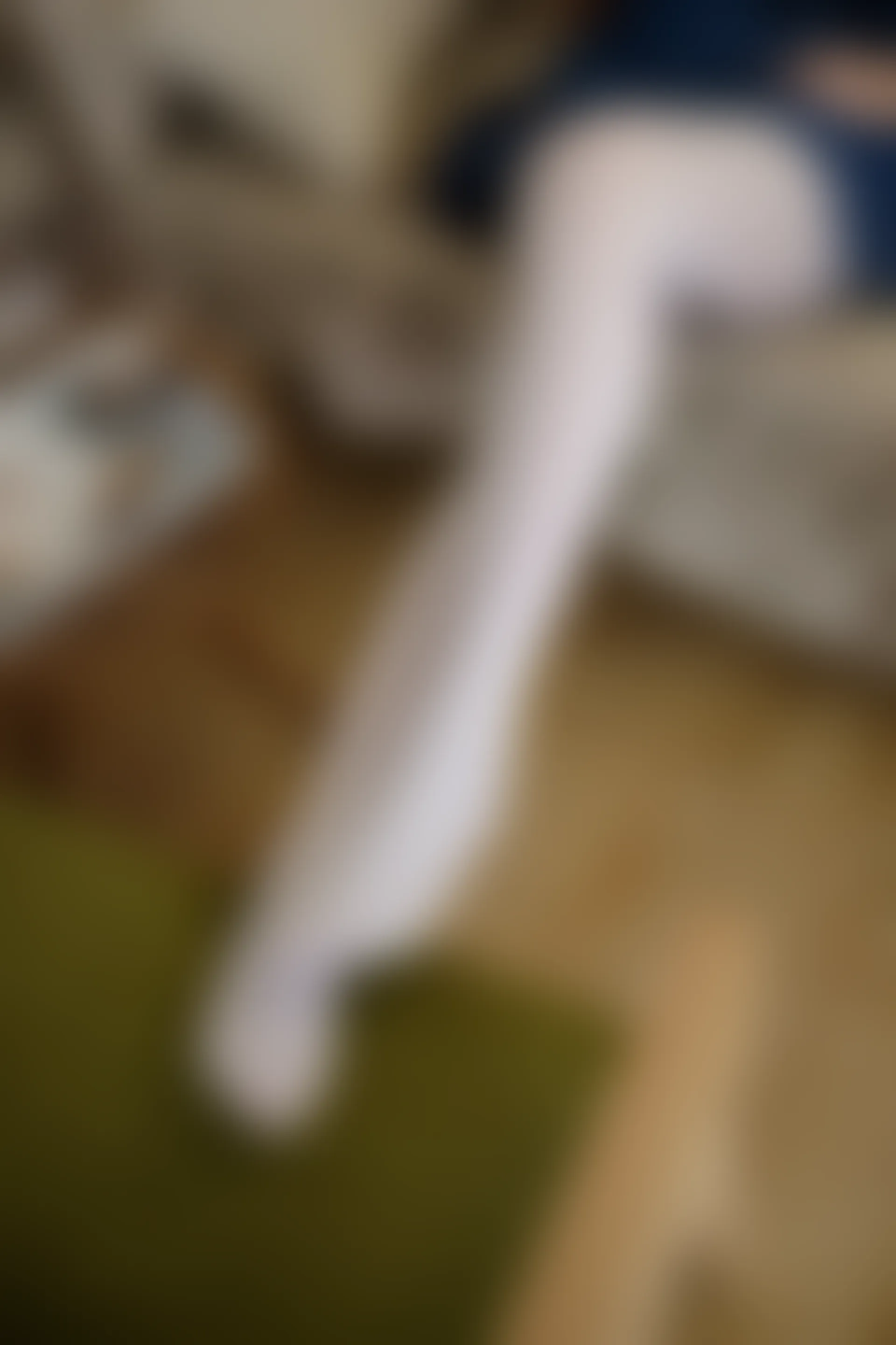 森萝财团 R15-021 [71P-392M]学生装, 森萝财团, 白丝, 美腿