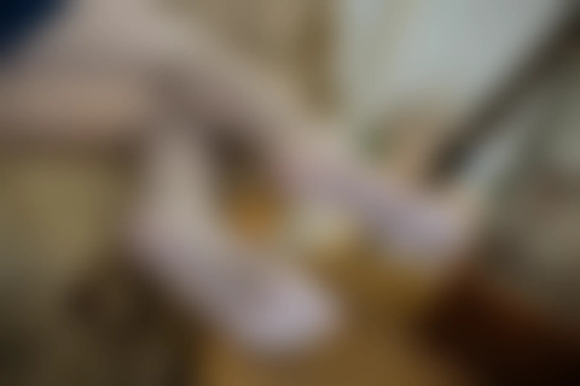 森萝财团 R15-021 [71P-392M]学生装, 森萝财团, 白丝, 美腿