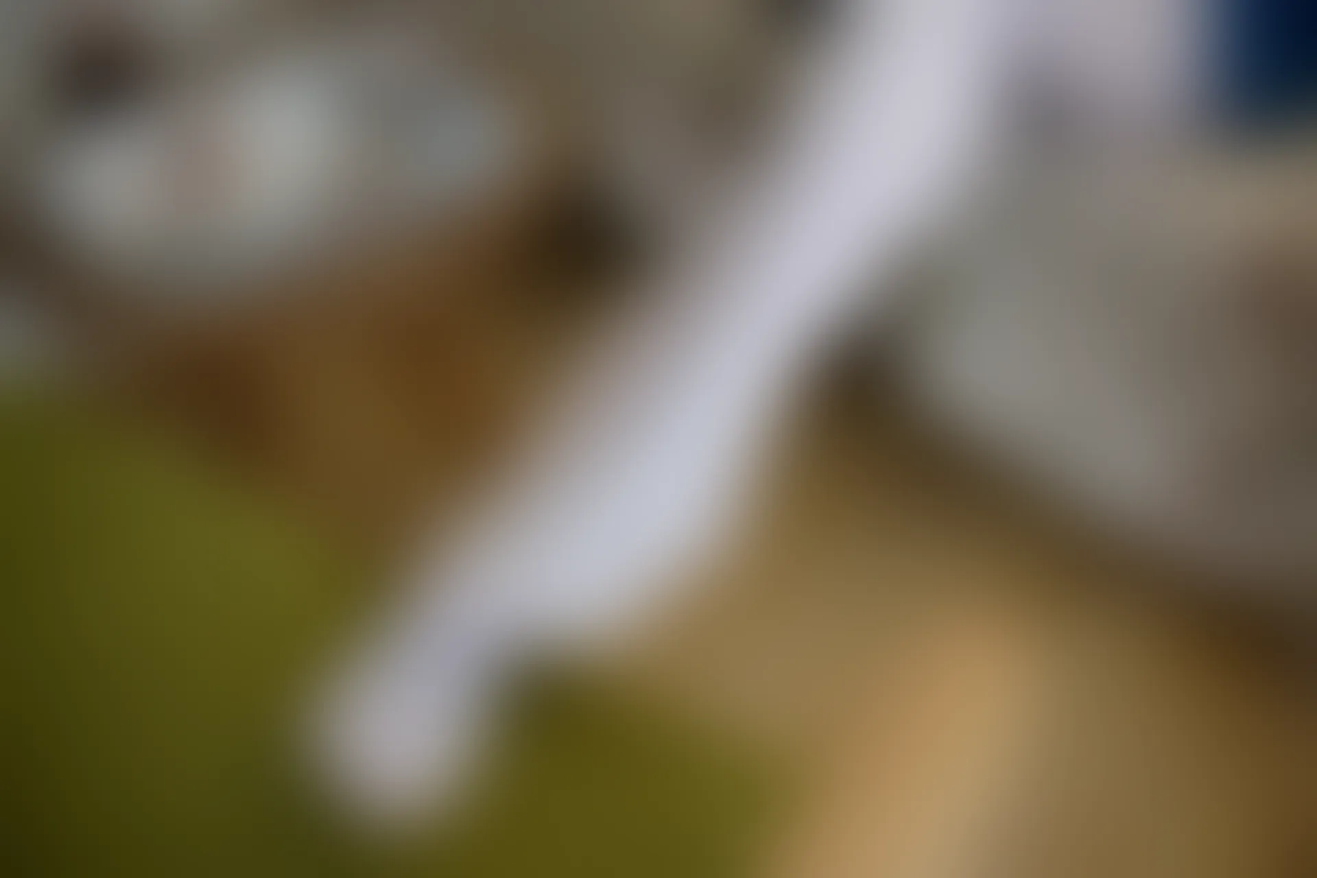 森萝财团 R15-021 [71P-392M]学生装, 森萝财团, 白丝, 美腿