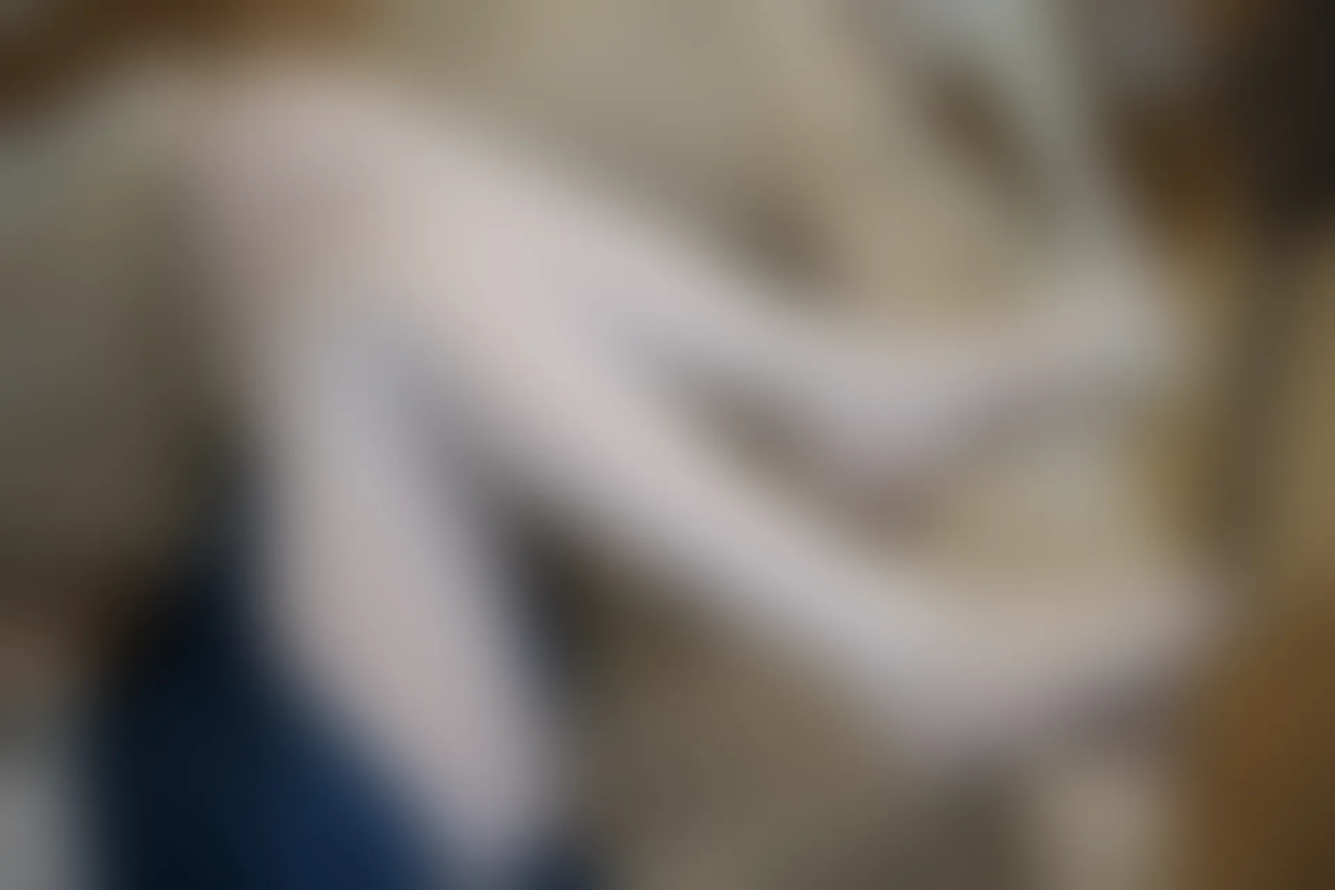 森萝财团 R15-021 [71P-392M]学生装, 森萝财团, 白丝, 美腿