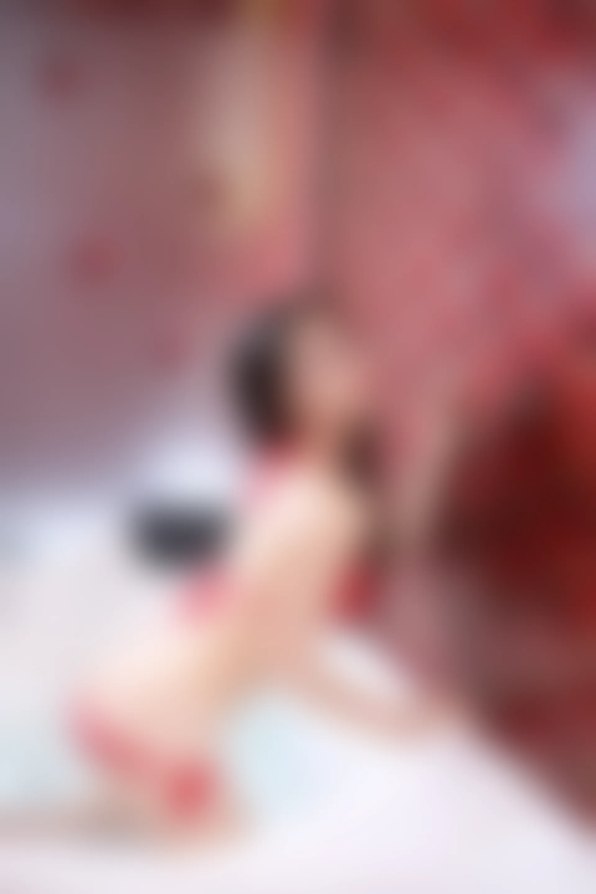 XiuRen秀人网 2014.06.18 No.160 Sissi诗诗 [64+P296M]
