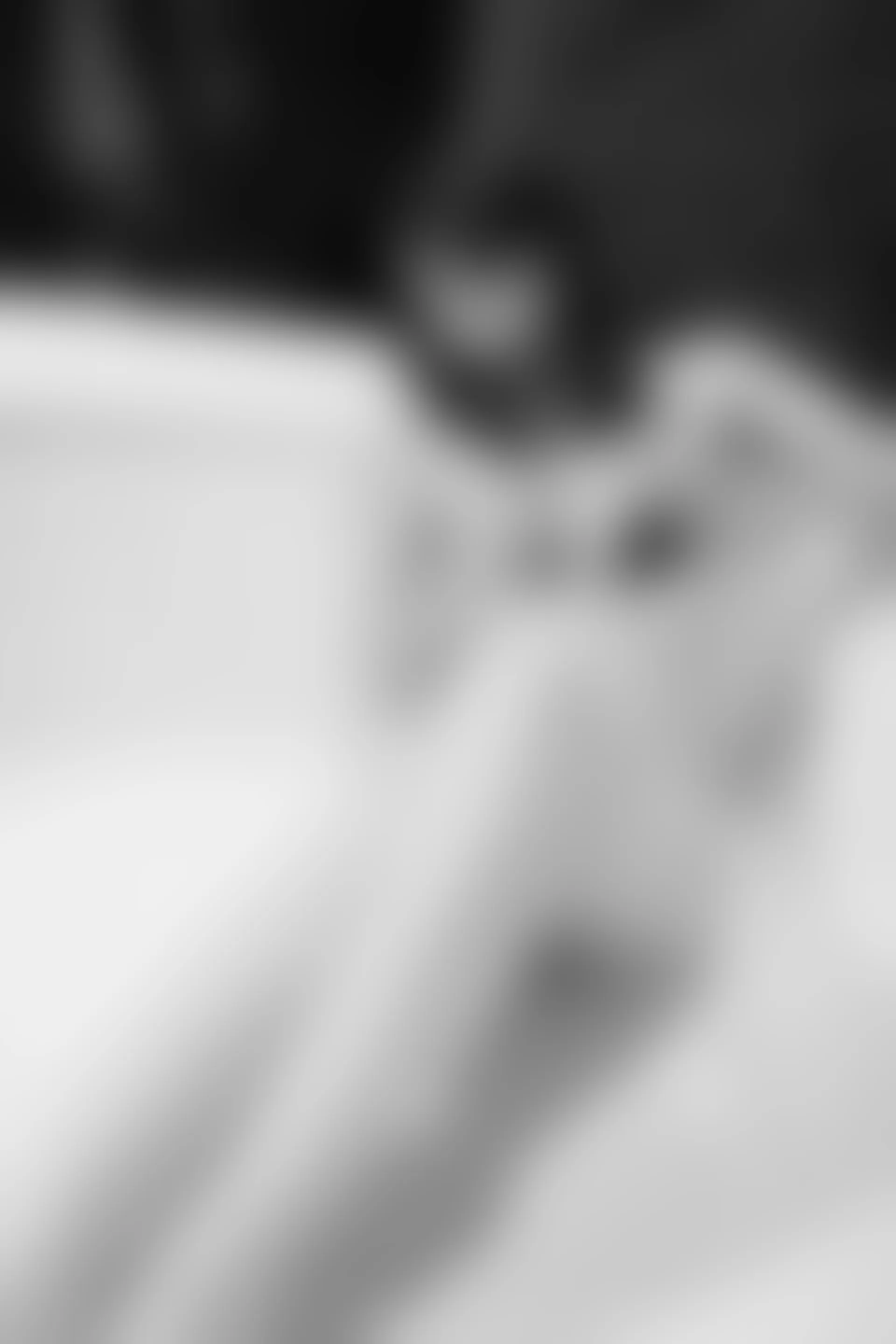 XiuRen秀人网 2015.02.05 No.295 MARA醬 [59P286MB]