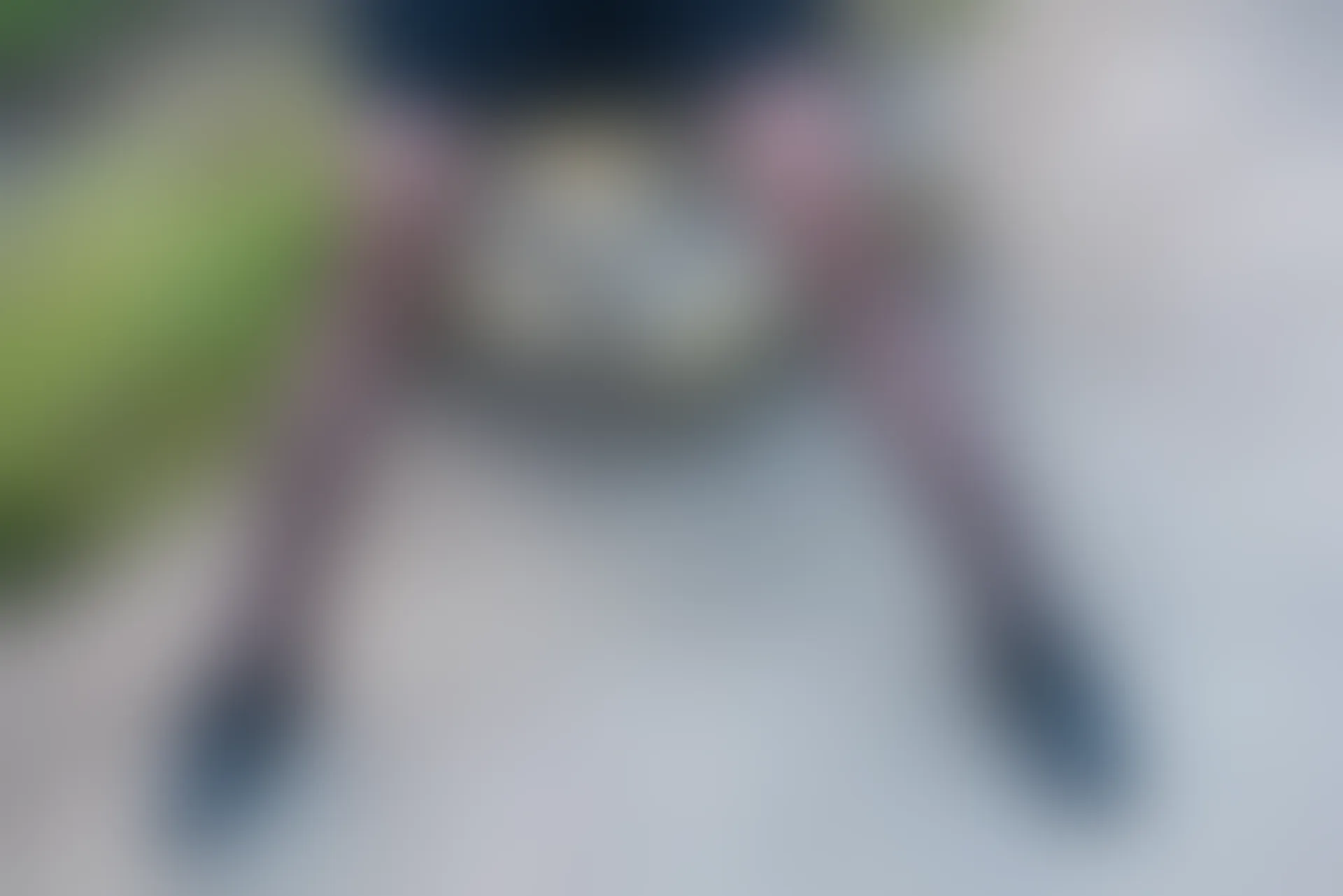 SSA丝社 超清写真 NO.049 小凤 笑容甜美小凤逛街回家沙发小憩[99P-1.69GB]