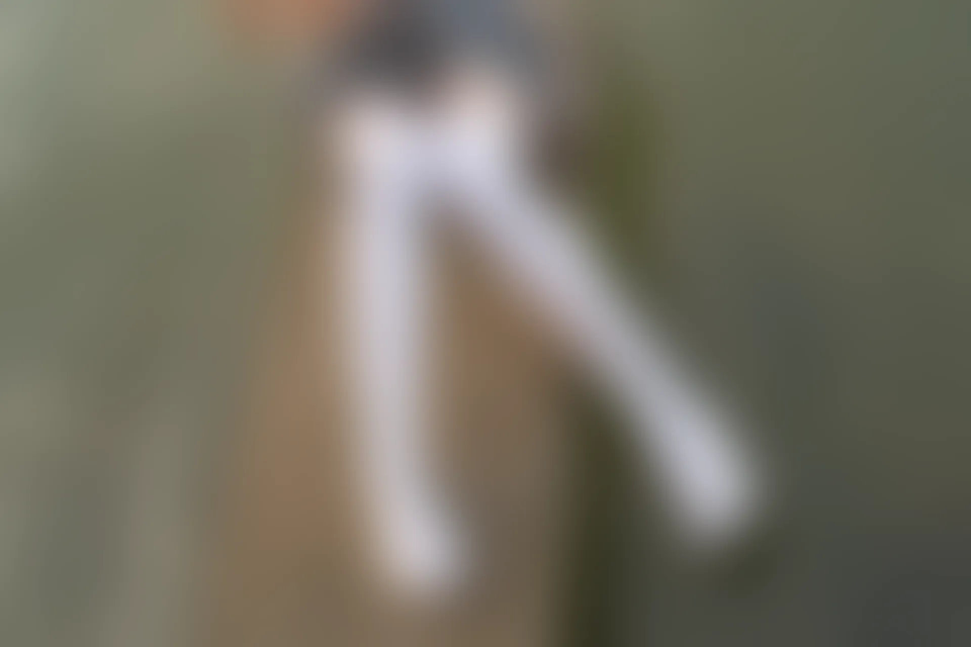 森萝财团 R15-032 [113P-914M]学生装, 森萝财团, 白丝, 美腿