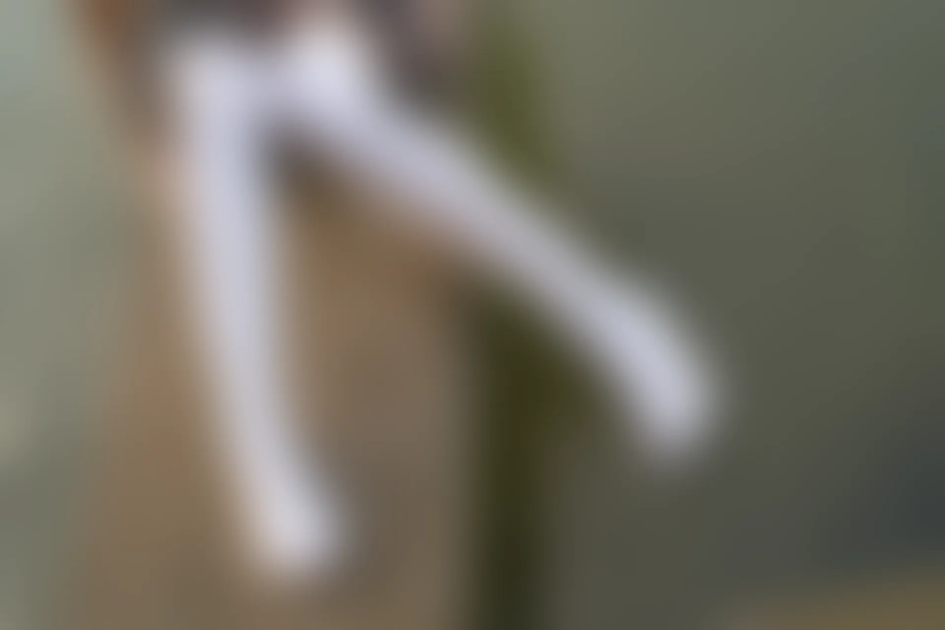森萝财团 R15-032 [113P-914M]学生装, 森萝财团, 白丝, 美腿