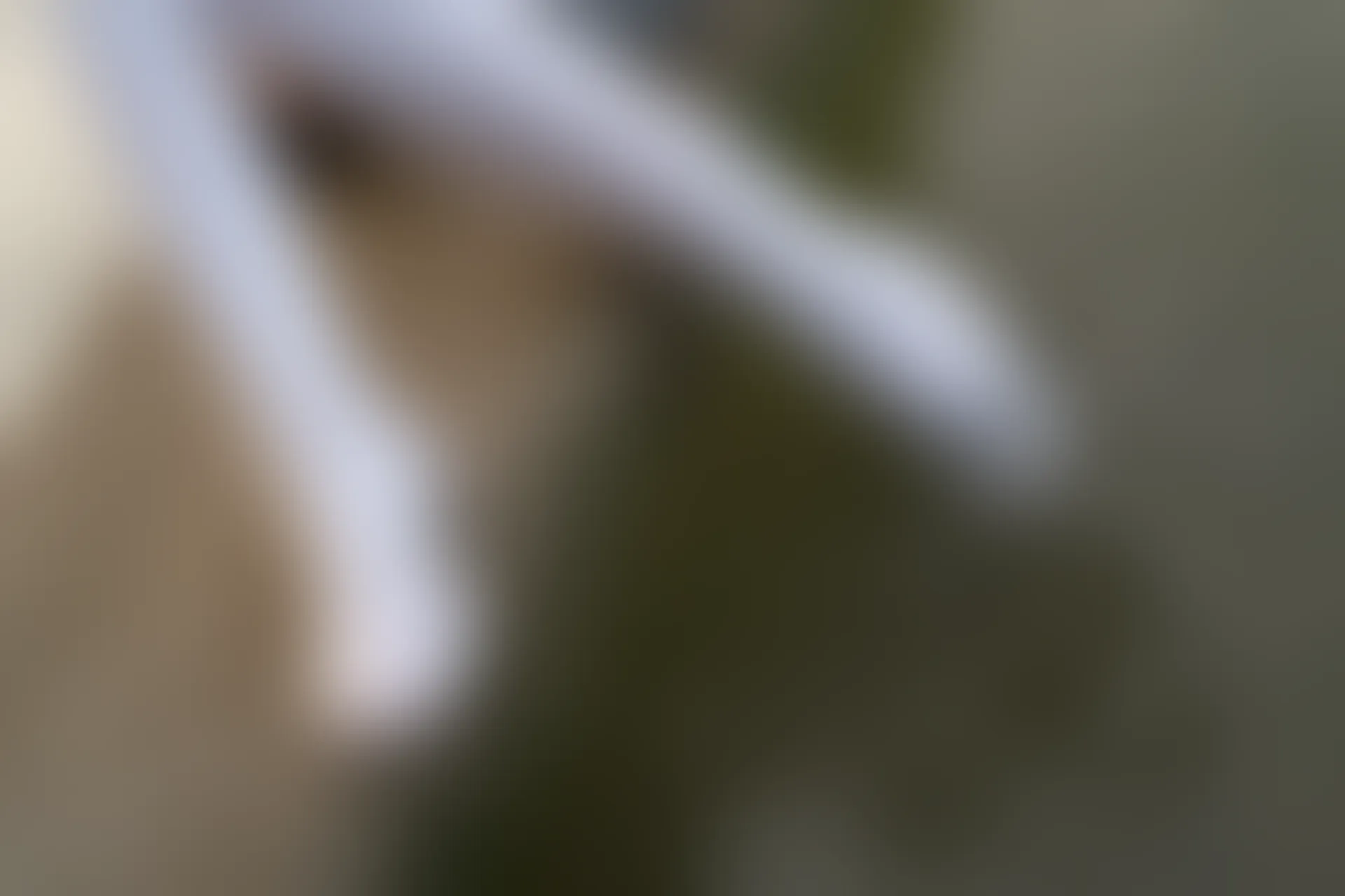 森萝财团 R15-032 [113P-914M]学生装, 森萝财团, 白丝, 美腿