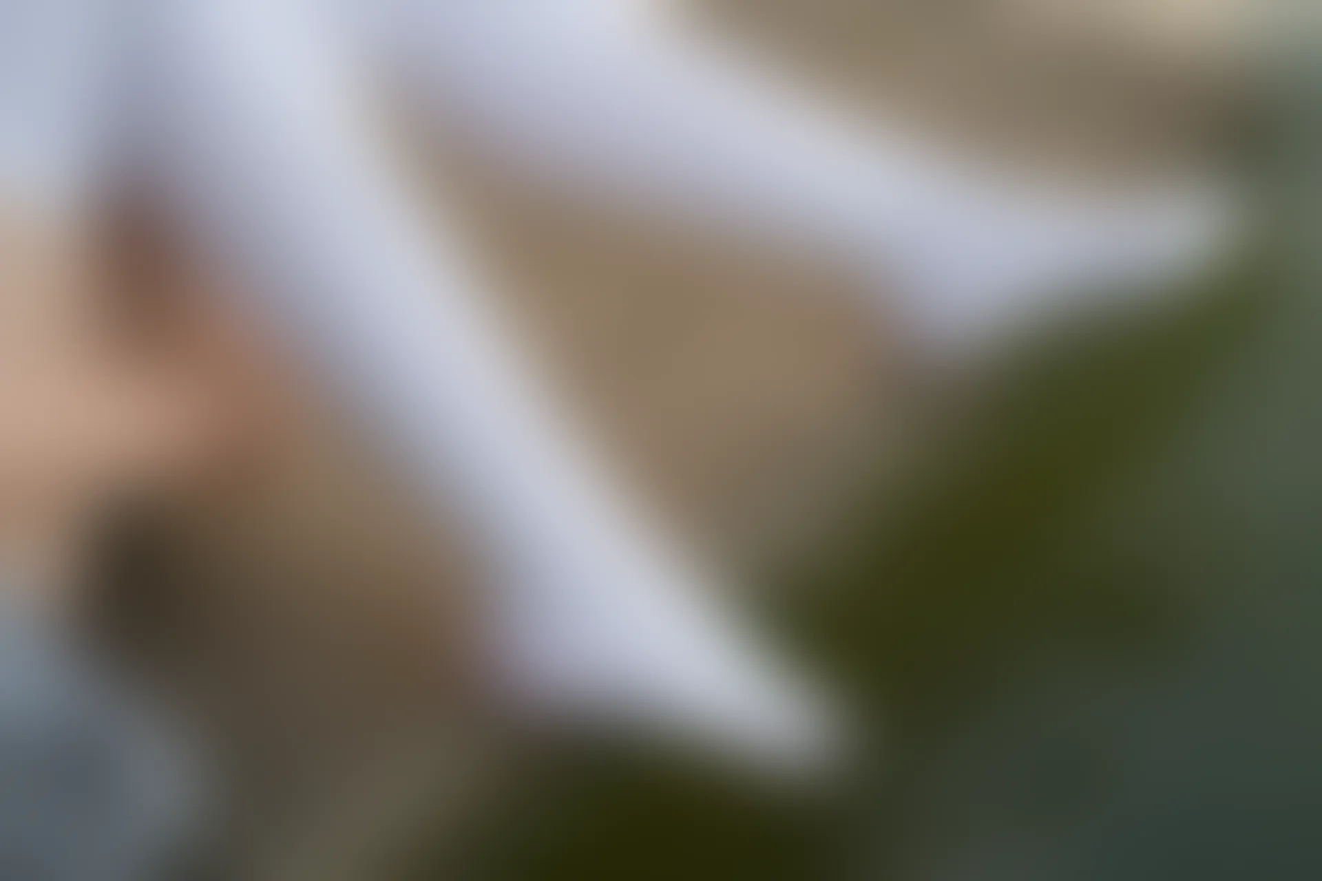 森萝财团 R15-032 [113P-914M]学生装, 森萝财团, 白丝, 美腿