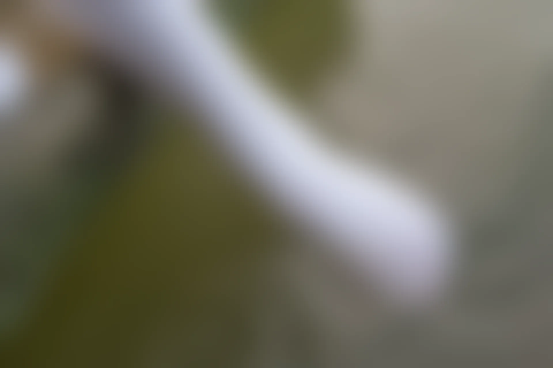 森萝财团 R15-032 [113P-914M]学生装, 森萝财团, 白丝, 美腿